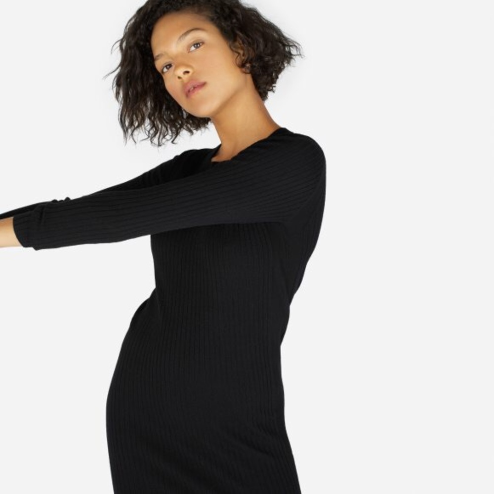 Everlane Luxe Wool Ribbed Pencil Dress XS